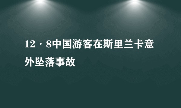 12·8中国游客在斯里兰卡意外坠落事故