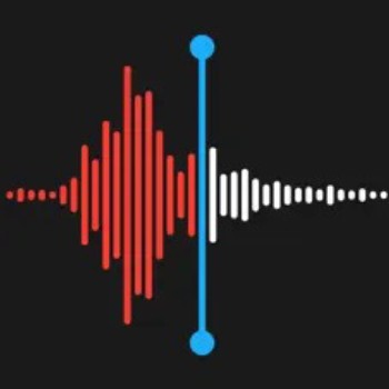 语音备忘录（Apple公司开发的音频录制应用）