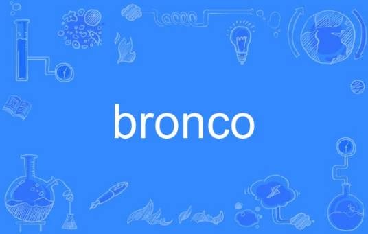 bronco