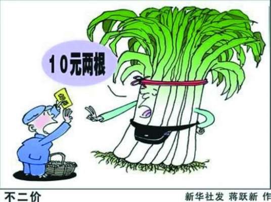 葱击波