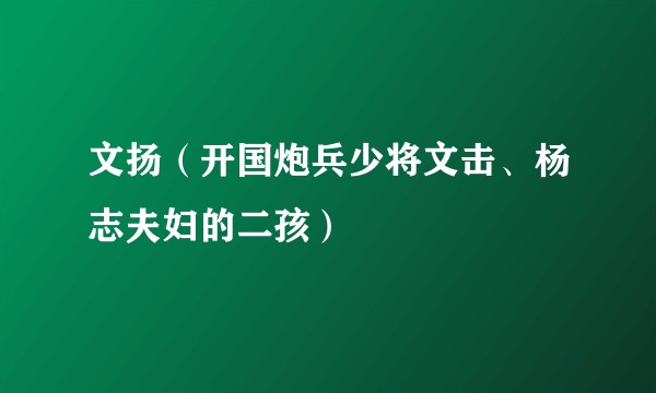 文扬（开国炮兵少将文击、杨志夫妇的二孩）