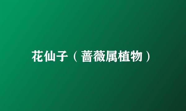 花仙子（蔷薇属植物）