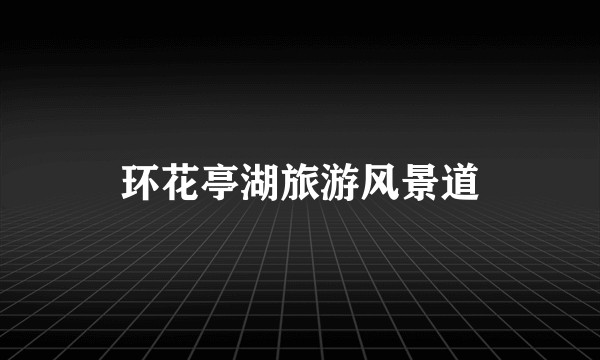 环花亭湖旅游风景道