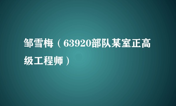 邹雪梅（63920部队某室正高级工程师）