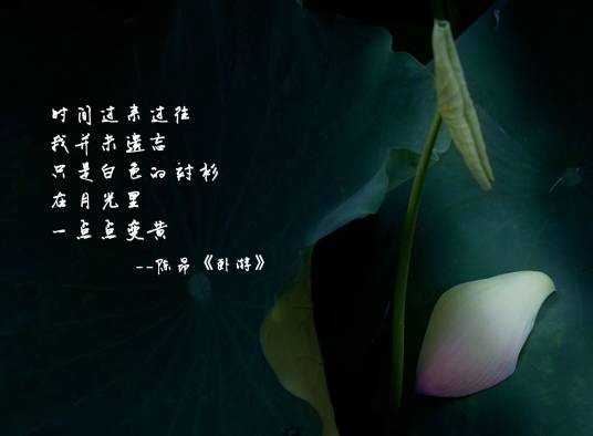 卧游（陈昂创作的现代诗歌）