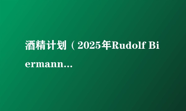 酒精计划（2025年Rudolf Biermann执导的电影）