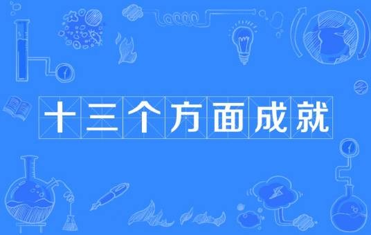 十三个方面成就