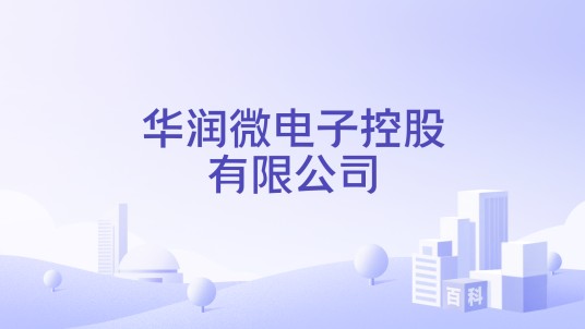 华润微电子控股有限公司