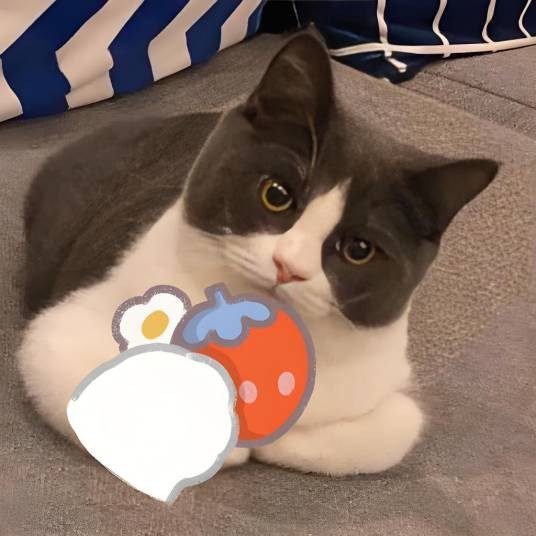 吃草莓的uu