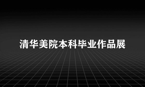 清华美院本科毕业作品展
