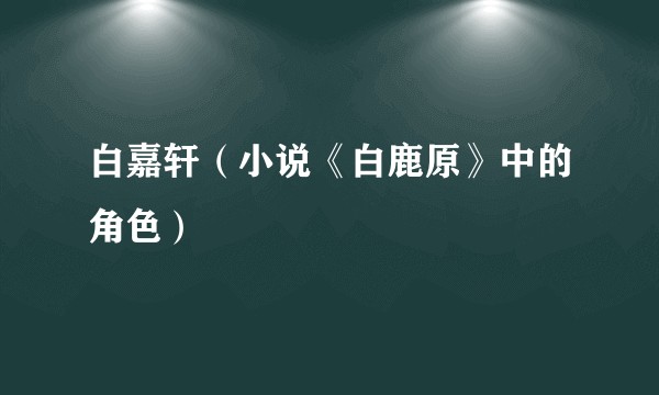 白嘉轩（小说《白鹿原》中的角色）
