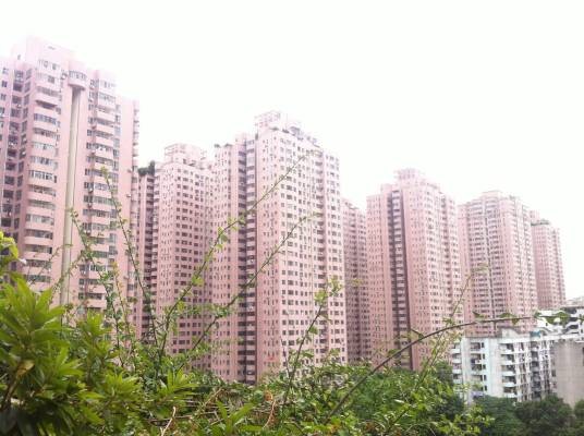龙珠花园（位于深圳市龙岗区布吉镇龙岗大道）