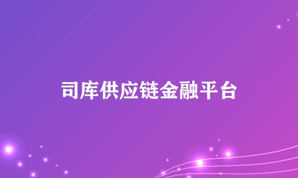 司库供应链金融平台