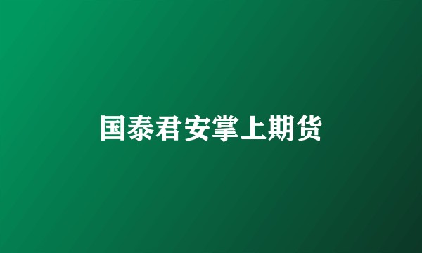 国泰君安掌上期货