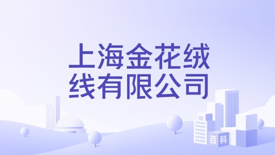 上海金花绒线有限公司