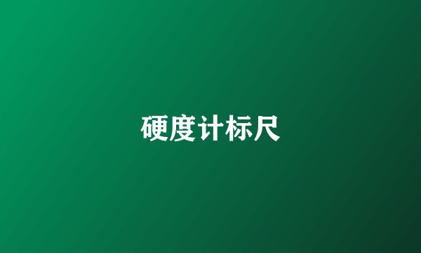 硬度计标尺
