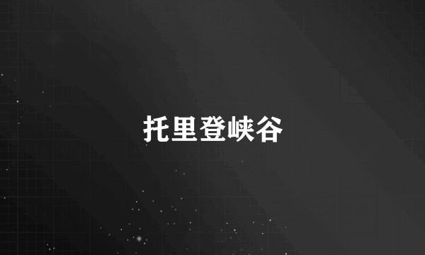托里登峡谷