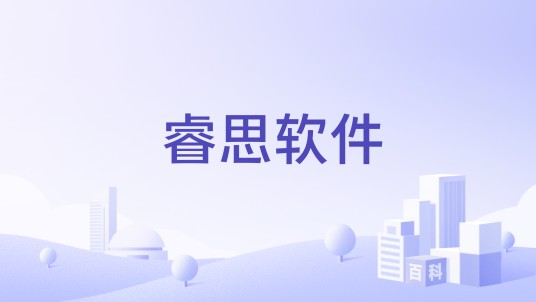 睿思软件