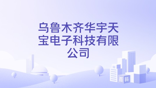 乌鲁木齐华宇天宝电子科技有限公司