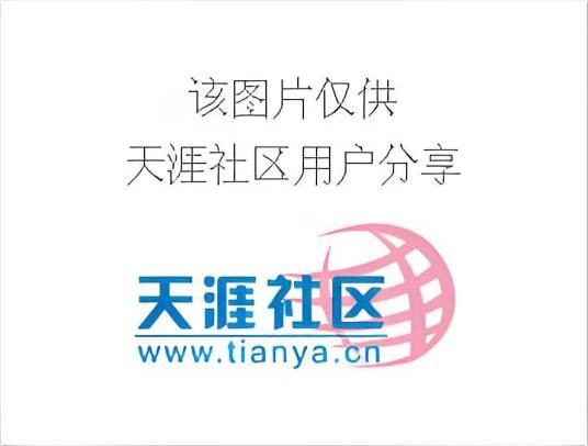 黑道迷途