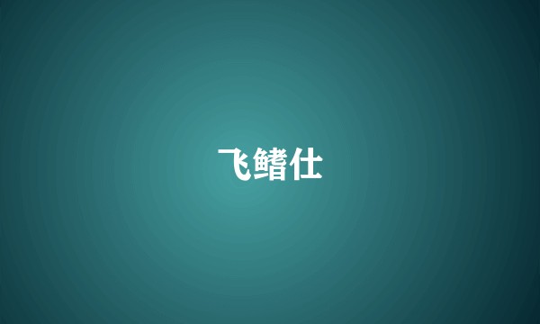 飞鳍仕