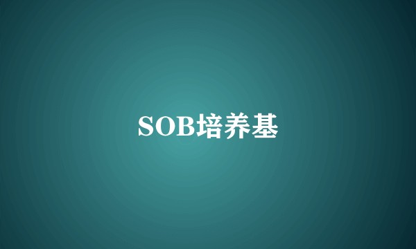SOB培养基