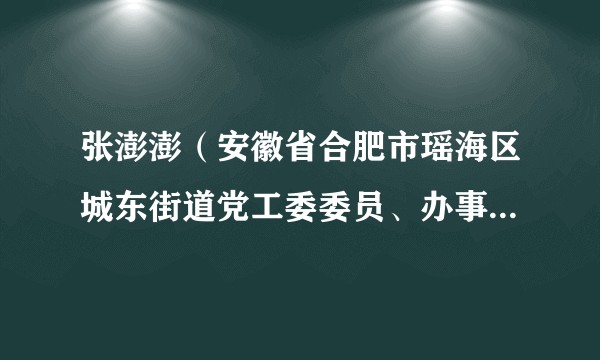 张澎澎（安徽省合肥市瑶海区城东街道党工委委员、办事处副主任，政法委员）