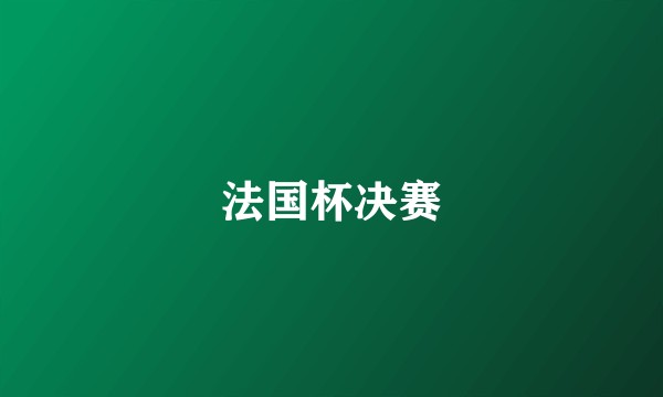 法国杯决赛
