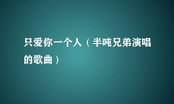 只爱你一个人（半吨兄弟演唱的歌曲）