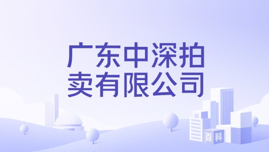 广东中深拍卖有限公司