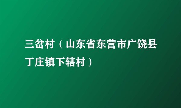 三岔村（山东省东营市广饶县丁庄镇下辖村）