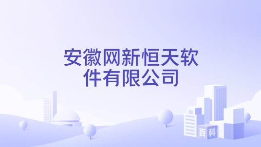 安徽网新恒天软件有限公司