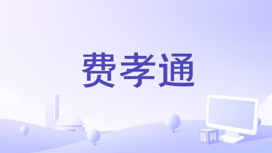 费孝通（中央电视台纪录频道播出的纪录片）
