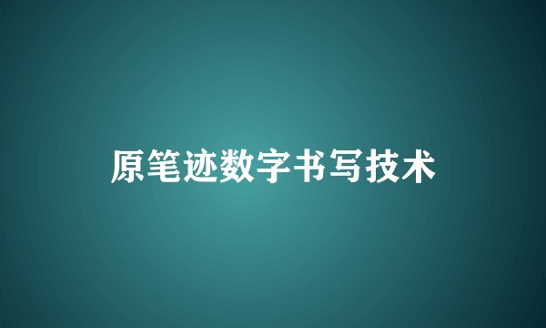 原笔迹数字书写技术