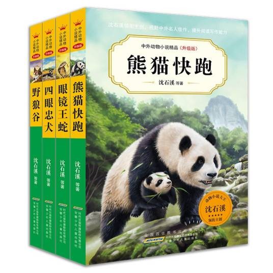 熊猫快跑（2019年安徽少年儿童出版社出版的图书）