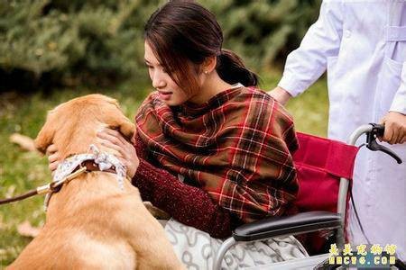 吕一丹