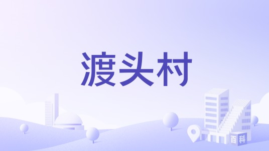 渡头村(广东省江门台山市赤溪镇下辖村)