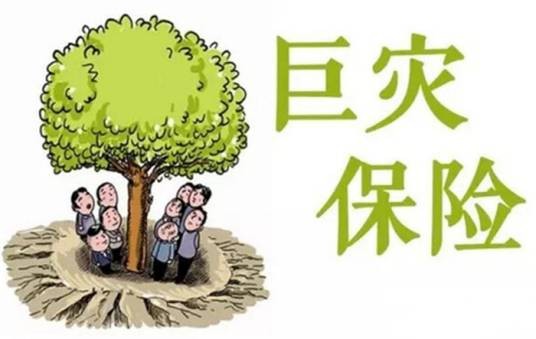 灾害保险