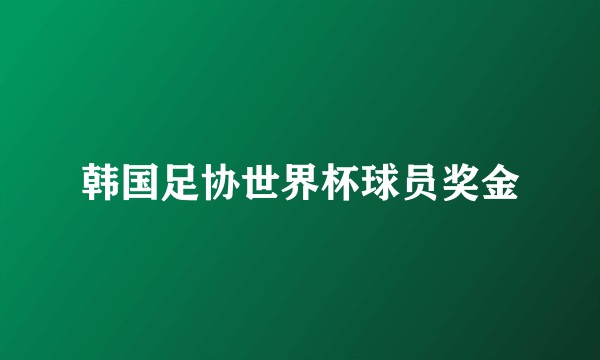 韩国足协世界杯球员奖金