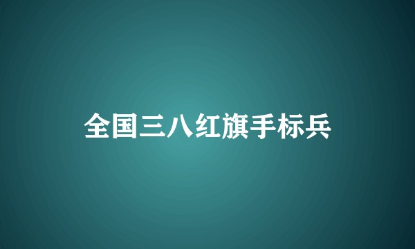 全国三八红旗手标兵