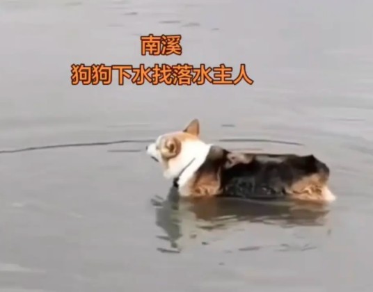 5·25宜宾男子落水事件