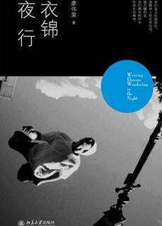 衣锦夜行(2011年北京大学出版社出版的图书)