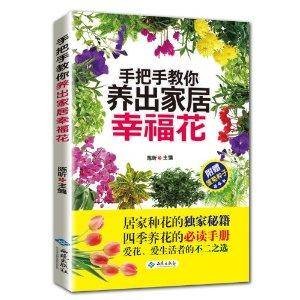 手把手教你养出家居幸福花