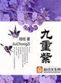 九重紫第一册