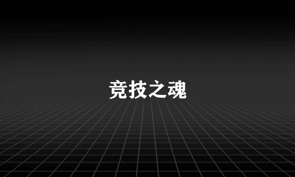 竞技之魂
