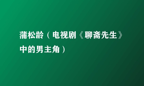 蒲松龄（电视剧《聊斋先生》中的男主角）