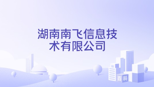 湖南南飞信息技术有限公司