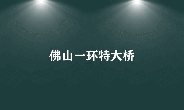 佛山一环特大桥