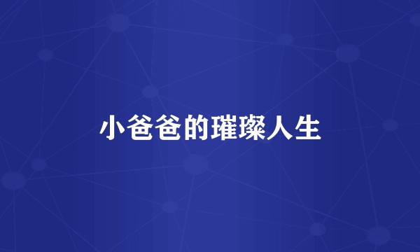 小爸爸的璀璨人生