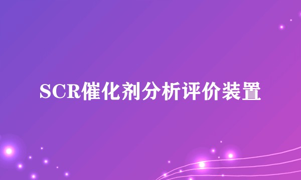 SCR催化剂分析评价装置